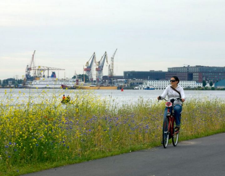 Wat kun je verwachten?