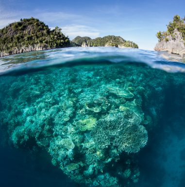 aarde - klimaatverandering